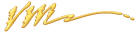 VERSAMATIC LOGO